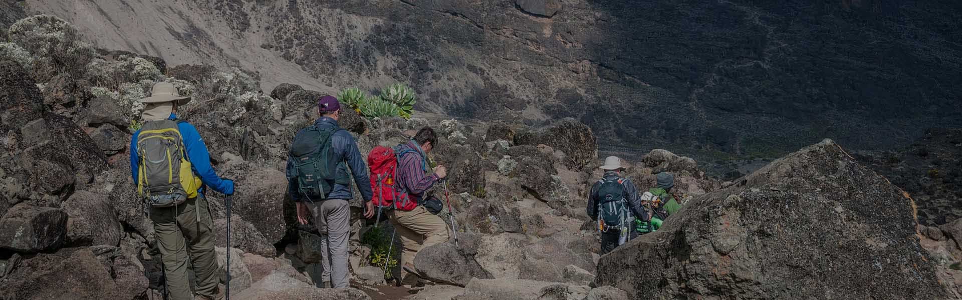 Mount Kilimanjaro 